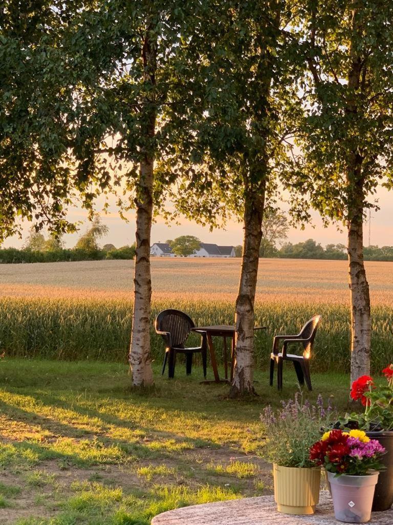Romantik Luxus Glamping 2 Idestrup Exteriör bild