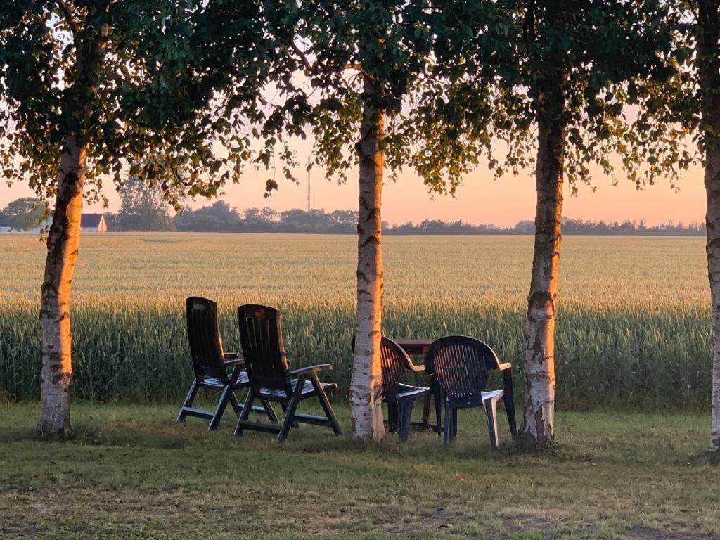Romantik Luxus Glamping 2 Idestrup Exteriör bild