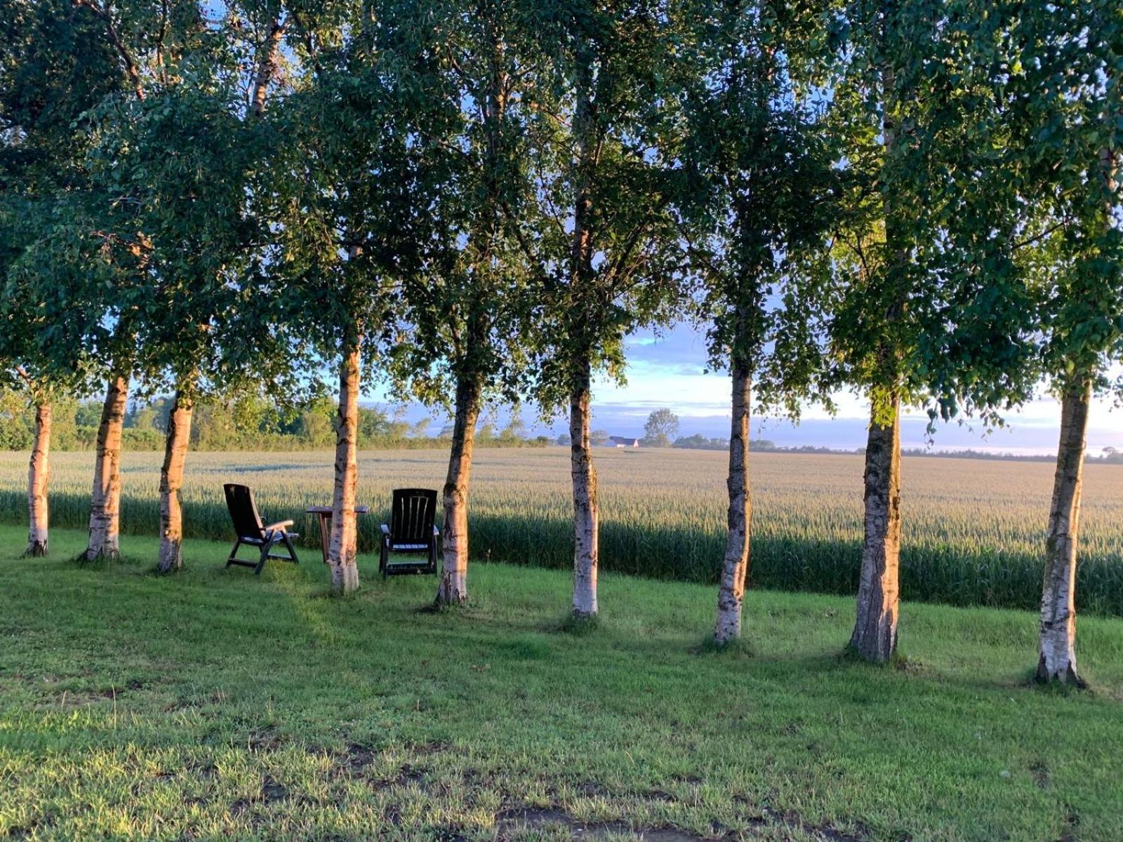 Romantik Luxus Glamping 2 Idestrup Exteriör bild